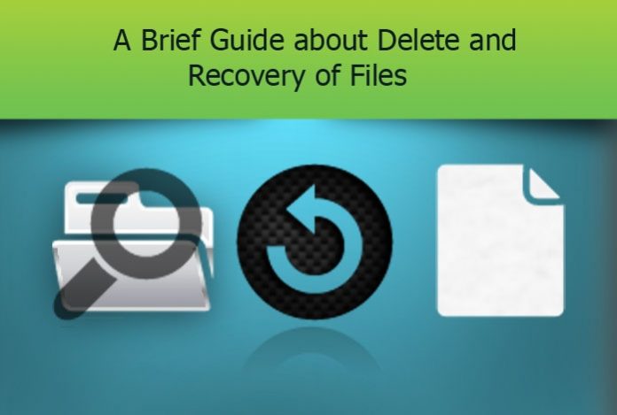 files brief guides elements files brief guides elements